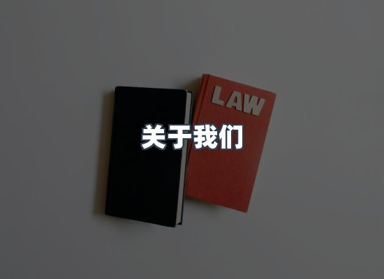专业团队